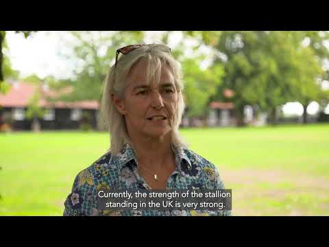 A record year for Dubawi