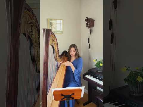 Promotional video thumbnail 3 for Cherry Wood Music