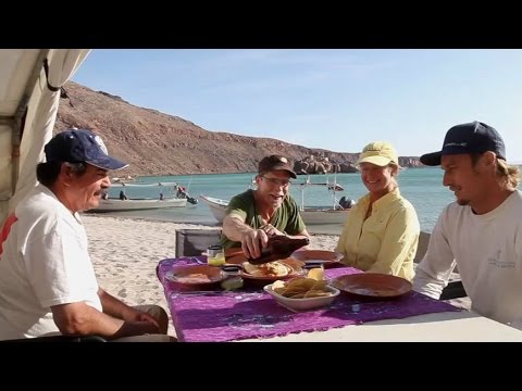 Grilled Yellowtail with Charred Tomato Nopal Salsa