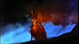 Amon Duul II - Phallus Dei - Henriette Krotenschwanz