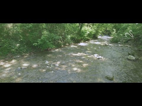  Immersion musicale et immobilière - Lac Annecy - Saint Jorioz