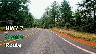 The Scenic Route Most Tourists Miss: Driving the Nisqually River