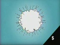 Adult Swim DVD Sales