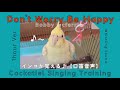Don T Worry Be Happy 1 Hour Whistle Cover For Cockatiel Training