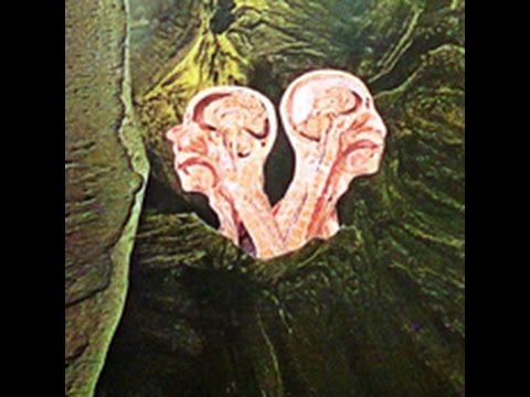 Arµ-2 / EeMu - T W I C E