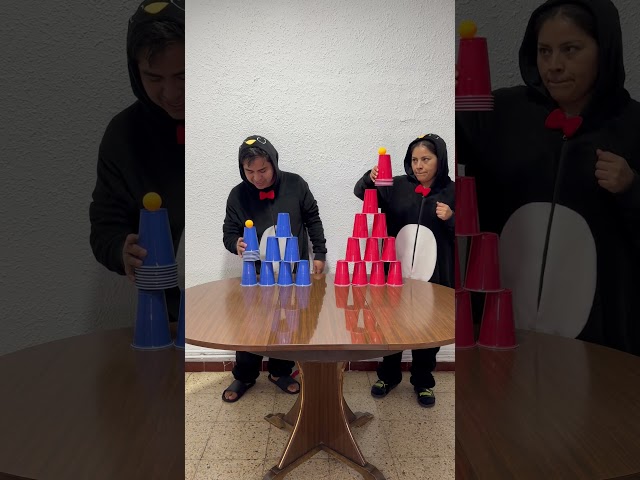 Vídeo relacionado con Torre con bolas | Torre de 3 niveles con bolas giratorias | Graffiatore antideslizante con juegos móviles interactivos para pequeños espacios interiores y exteriores contra el aburrimiento