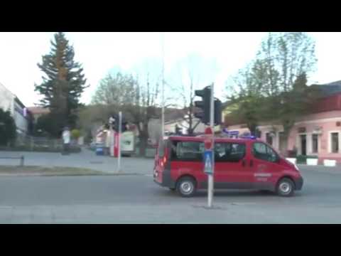 Reportaža iz Kutjeva u Regionalnom dnevniku Plave TV