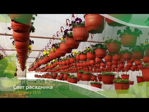 Svet rasadnika ep. 51 05.03.2022. NAJAVA