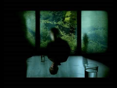Friendship - The Bridgeheads