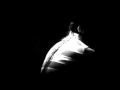 Noiserv - Download 
