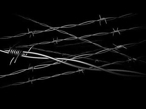 Liran feat. Dr Focka - Chillin (high quality)