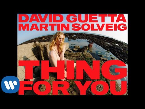 DAVID GUETTA ft MARTIN SOLVEIG - Thing for you