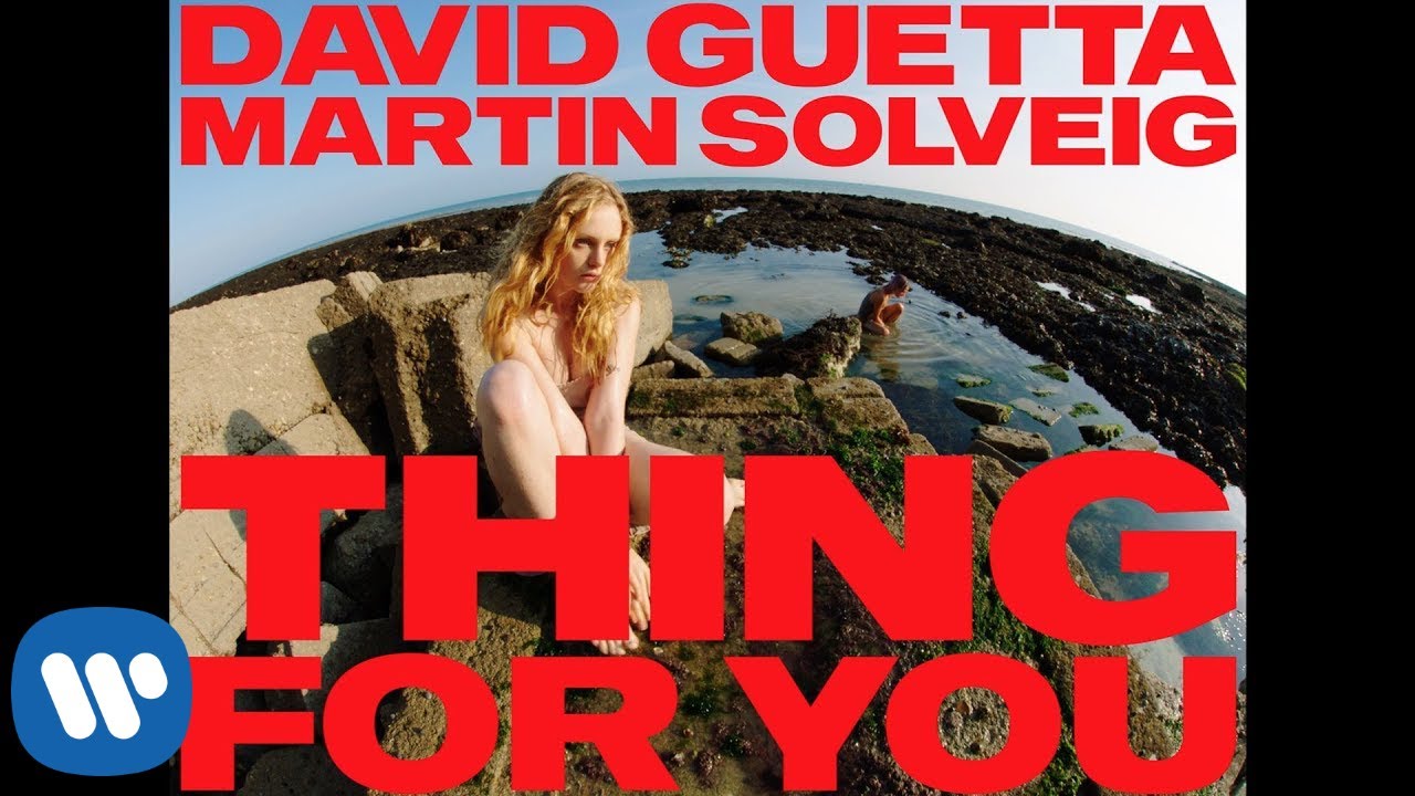 David Guetta & Martin Solveig — Thing For You