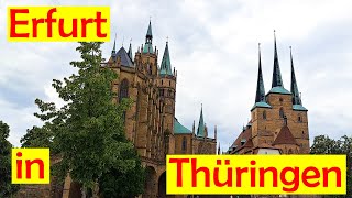 Erfurt entdecken: Geschichte, Highlights und Geheimtipps - Die Thüringer Perle