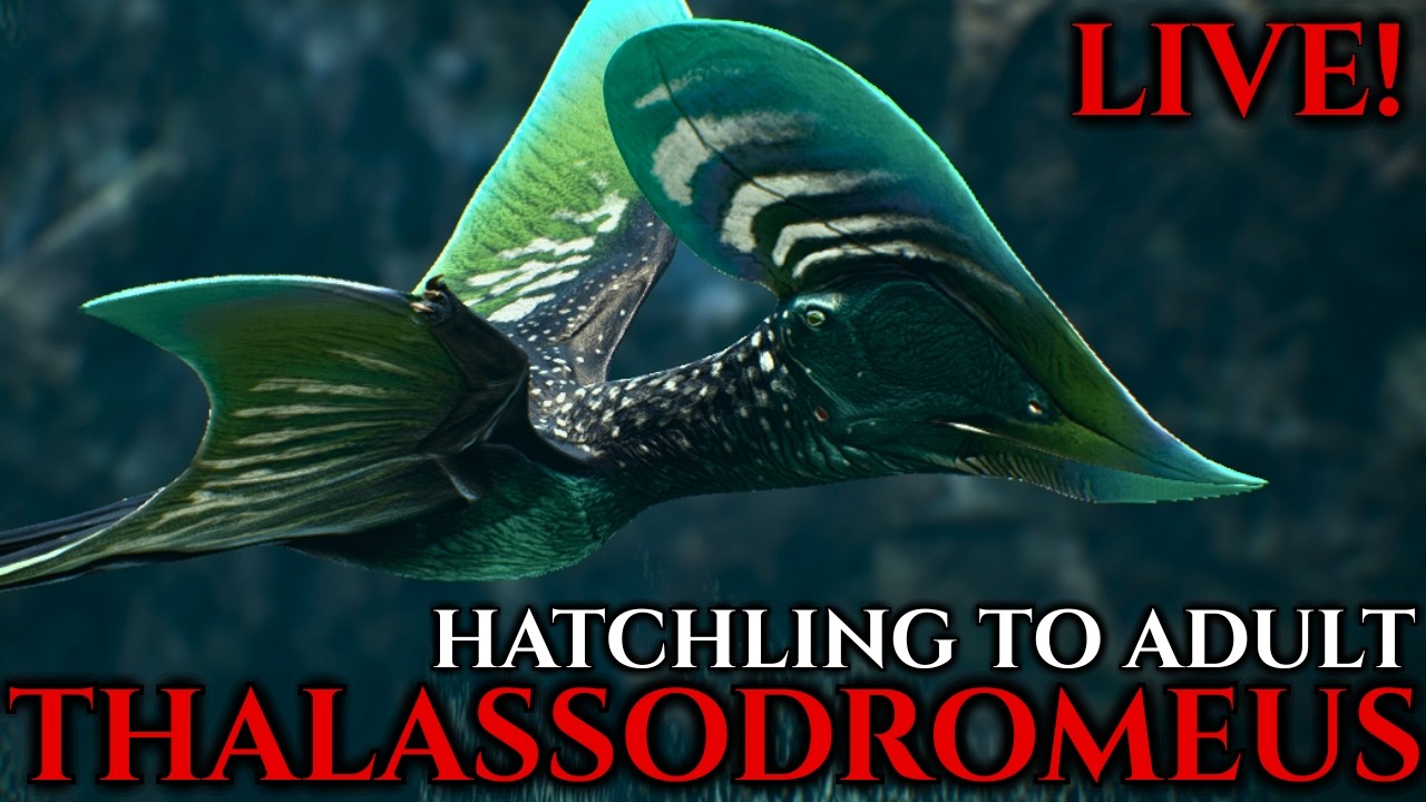 Becoming a Cretaceous Pterosaur | Thalassodromeus | PT: Realism | Path of Titans LIVE!