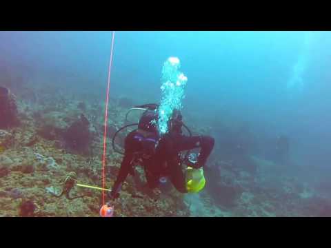 Scuba Diving West Palm Beach - Breakers Reef - Narcosis