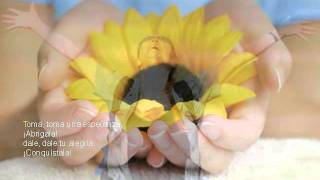 Toma una esperanza 10 31 13 36 avi