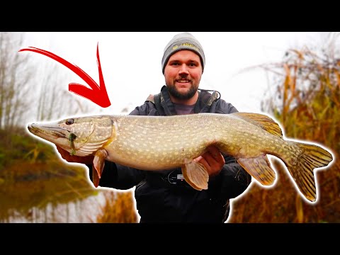 This PIKE Was so Hard to Land! Winter Lure Fishing