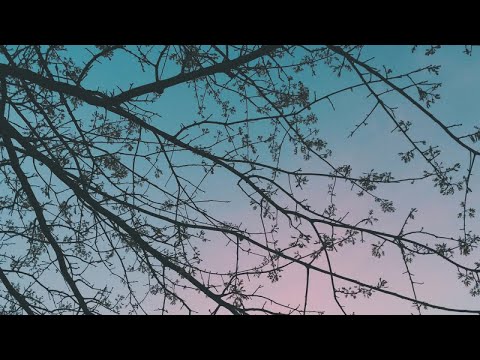 Drifts - A Sleep Playlist from Teen Daze