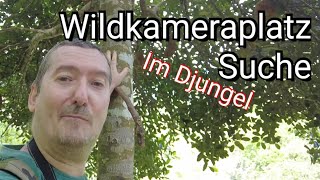 Spaziergang in den Bergen von Sulawesi. Wo kann ich eine Wildkamera aufstellen ?