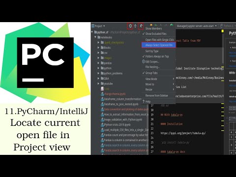pycharm intellij locate current open file project view