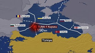TÜRKİYE'NİN DOĞALGAZ STRATEJİLERİ