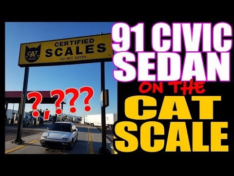 How much does she weigh?? 91 civic sedan hits the cat scale
