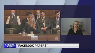 NIU communication professor talks 'Facebook Papers' saga with WGN News
