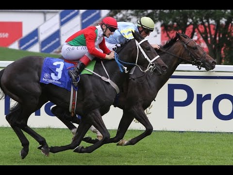 München: Dallmayr Coupe Lukull (Listenrennen) - Siegerin: Al Quintana