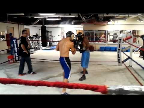 Robert ledesma sparring Daniel Sanchez