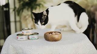 [問題] 有人試過Dibaq Sense森仕的飼料嗎？