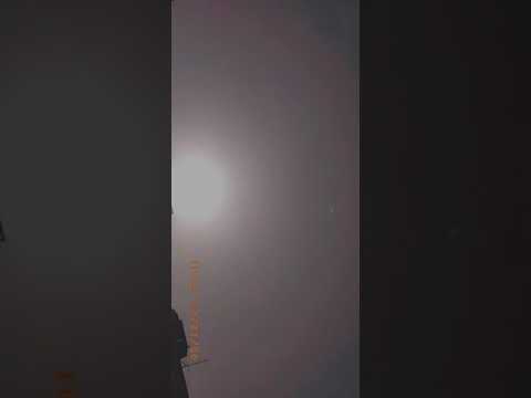 Nature🌿☘️🌳☀️