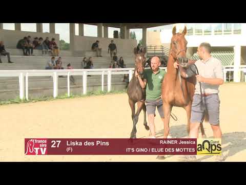 Show AQPS Ouest 2021 - Lot  27