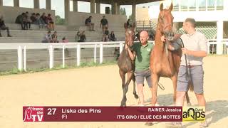 Video  de LISKA DES PINS #7