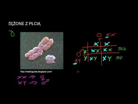 Ćwiczenia dla różnych grup mięśni Wideo Najlepsi trenerzy w kulturystyce w Rosji