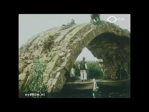 Gekleurde kijkjes uit de geheele wereld - Ajoncs du Vardar