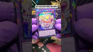 OCG Collector Rares are Mint!!! | #yugioh #yugiohcards #tradingcards #tradingcardgame #tcg #cards