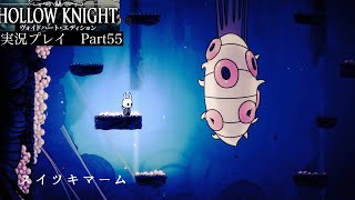 【Hollow Knight】王家の水路〜BOSSスイツキマーム戦【独り言プレイ#55】