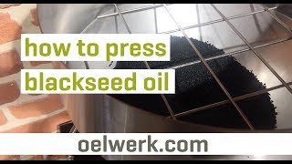 how to press blackseed oil - best cold oilpress - made in germany