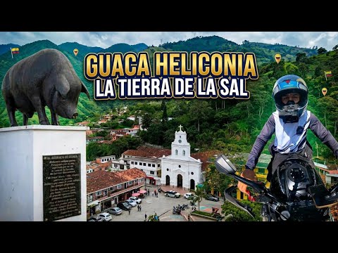 La tierra de las guacas y de la sal heliconia 