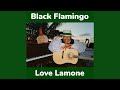 Black Flamingo