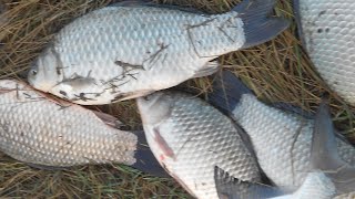 Рыбалка на море в декабре