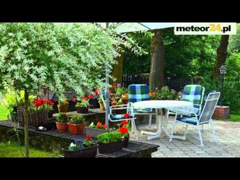 Agroturystyka Pod Jesionami - Radochów meteor24.pl