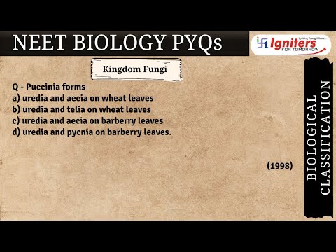 Puccinia forms a) uredia and aecia on wheat leaves b) uredia and telia on wheat leaves c) uredia a..