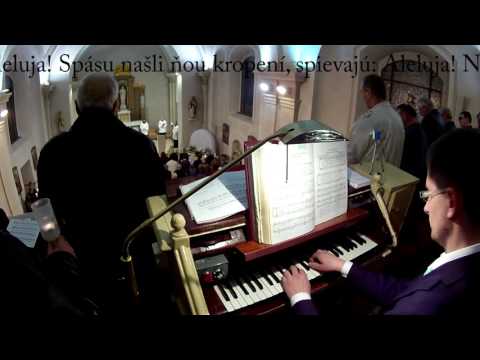 JKS 484b - Zrel som vodu ("Ich sah Wasser fließen")