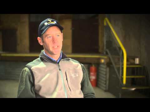 Murnong Farming Q & A - Primera & Highlander Ram Fertility Rate