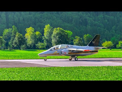 SIAI Marchetti S 211 Jet Trainer beim ZigAirMeet 2023
