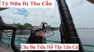 Câu Ba Tiêu Hồ Tây Lên Cá To Nhưng Tý Nữa Bị Thu Cần