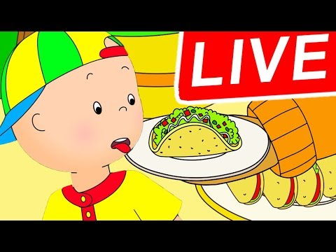🔴 LIVE Caillou ESPAÑOL - Caillou Odia los Tacos | Dibujos Infantiles | Dibujos animados para niños