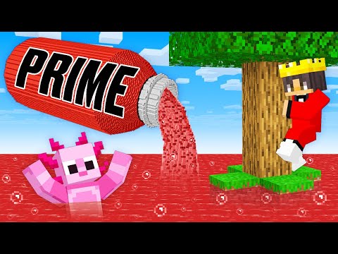 Minecraft But PRIME RISES Every Minute!